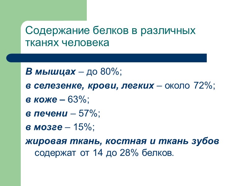 Содержание белков в различных тканях человека В мышцах – до 80%;  в селезенке,